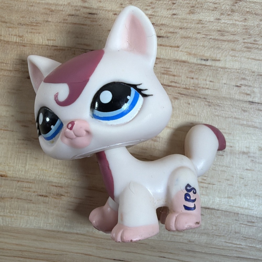 LPS #1679 LITTLEST PETSHOP ORIGINAL CHAT CAT AUTHENTIQUE MAINE COON HASBRO